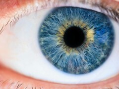 Met behulp van M-cone stimulatie met laserlicht zijn onderzoekers erin geslaagd om de voorheen onbekende kleur "Olo" zichtbaar te maken. (Afbeeldingsbron: Pexels/ Michael Morse)