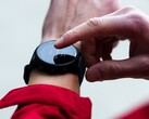 De Garmin bètaversie 22.22 rolt nu uit naar smartwatches, waaronder de Forerunner 955. (Afbeeldingsbron: Garmin)