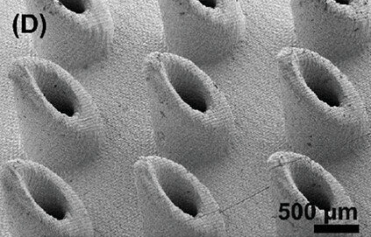 Beeld van elektronenmicroscopie (SEM) van een 3D-geprinte MNA (microneedle array). (Afbeeldingsbron: Advanced Healthcare Materials)