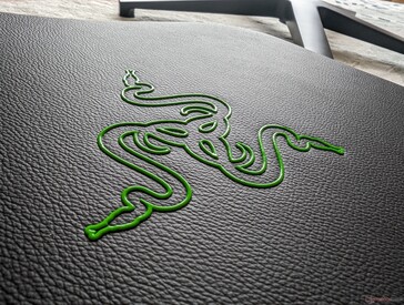 Klassiek Razer-logo op de rugleuning. Als groen te "gamer" is, dan is de zwarte optie meer kantoorvriendelijk