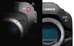 Het ziet ernaar uit dat Canon&#039;s geplaagde cinema camera een aantal updates heeft die lijken op die van de EOS R1. (Afbeelding bron: Canon - bewerkt)