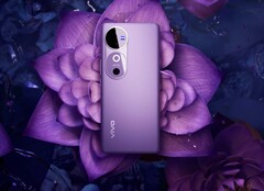 Zelfs de goedkopere Vivo V40 heeft een 4.500 nits helder AMOLED-scherm. (Afbeeldingsbron: Vivo)