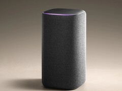 Smart Speaker Pro: Xiaomi heeft een nieuw product in de pijplijn. (Afbeeldingsbron: Xiaomi)