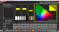 CalMAN ColorChecker (profiel: sRGB: doelkleurruimte: sRGB)