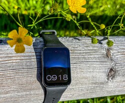 In review: Xiaomi Smart Band 8 Pro. Testapparaat geleverd door Xiaomi Duitsland.