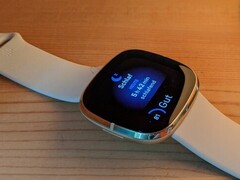 De Fitbit Sense en Versa 3 kunnen oververhit raken (Afbeelding bron: Inge Schwabe)