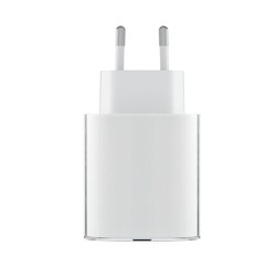 De 45-watt voeding van de Phone (2a) Plus