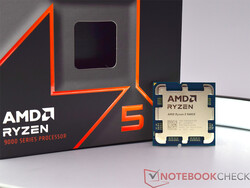 De gereviewde AMD Ryzen 5 9600X: testexemplaar geleverd door AMD Duitsland.