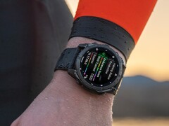 Sommige Garmin Fenix 8 smartwatches hebben problemen met koud water. (Afbeelding bron: Garmin)