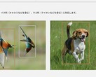 Deze twee foto's, onder andere op de productpagina van de Lumix S9, hebben de controverse doen ontstaan (Afb. bron: Panasonic)