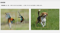 Deze twee foto&#039;s, onder andere op de productpagina van de Lumix S9, hebben de controverse doen ontstaan (Afb. bron: Panasonic)
