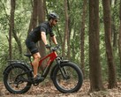 De Vanpowers GrandTeton-Pro e-bike heeft een 750W motor. (Afbeelding bron: Vanpowers)