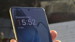 Het beeldscherm van de OnePlus 13. (Afbeeldingsbron: Notebookcheck)