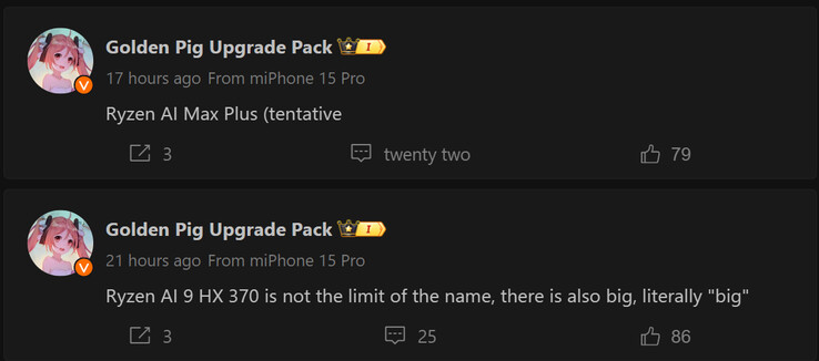 Rapport van Golden Pig Upgrade over nieuwe AMD Ryzen AI 300-serie APU's (Afbeeldingsbron: Weibo - machinaal vertaald)