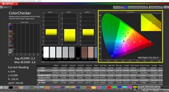 CalMAN ColorChecker (profiel: P3, doelkleurruimte: P3)