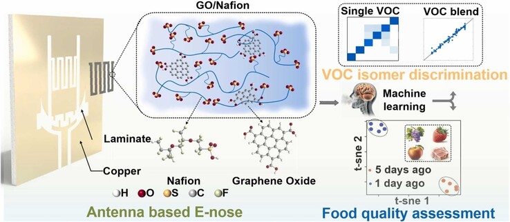 Een grafisch overzicht van de grafeenoxide gecoate enkele antennesensor. (Afbeeldingsbron: ScienceDirect)