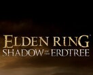 FromSoftware heeft geen haast om een vervolg op Elden Ring te lanceren (bron: FromSoftware)