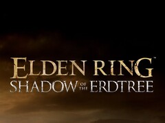 FromSoftware heeft geen haast om een vervolg op Elden Ring te lanceren (bron: FromSoftware)