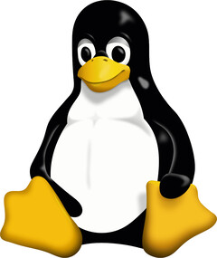 Linux Kernel 6.11 komt eraan en biedt ondersteuning voor nieuwe hardware. (Afbeelding: Wikimedia Commons)