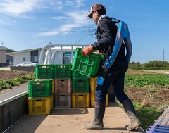 Innophys breidt de verkoop van Muscle Suit exoskeletten uit naar Roemenië. (Afbeeldingsbron: Innophys)