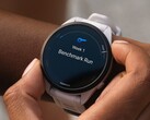 Verschillende Garmin Forerunner smartwatches ontvangen beta-update versie 21.18. (Afbeelding bron: Garmin)